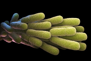 Legionella Risk Assessments
